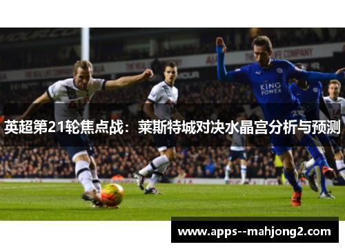 英超第21轮焦点战:莱斯特城对决水晶宫分析与预测 英超第21轮焦点战:莱斯特城对决水晶宫分析与预测